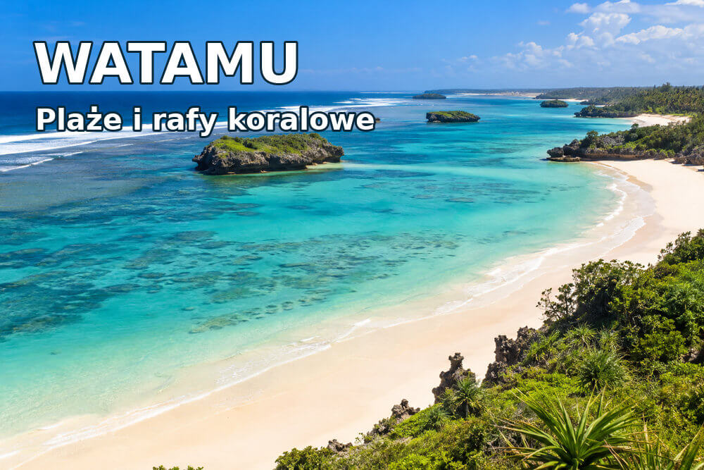 Watamu – plaże, rafy koralowe i wakacje w Kenii
