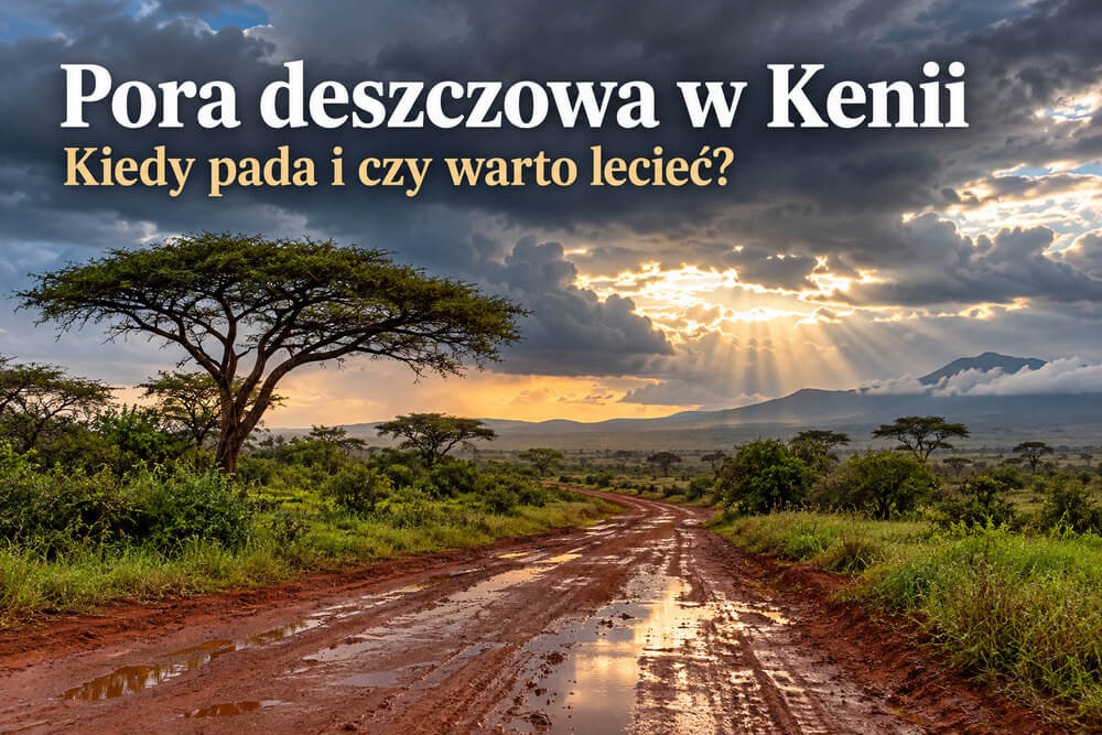 Pora deszczowa w Kenii – kiedy pada i czy warto lecieć?