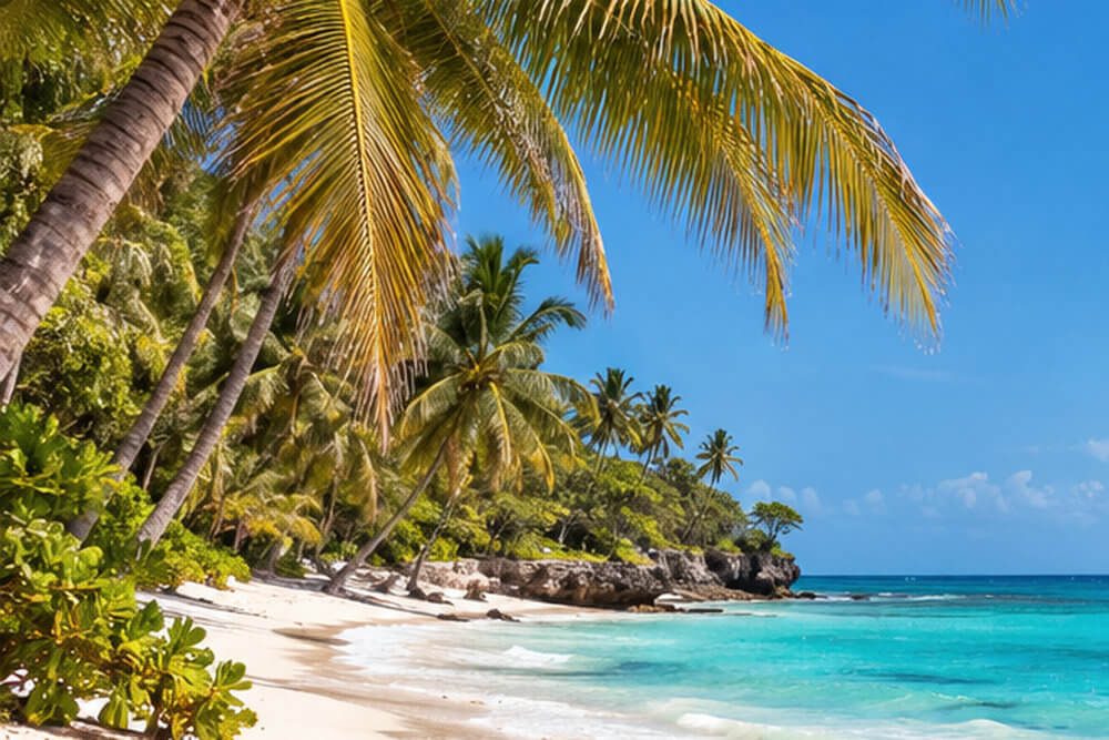 Długa piaszczysta plaża Diani Beach z palmami nad Oceanem Indyjskim