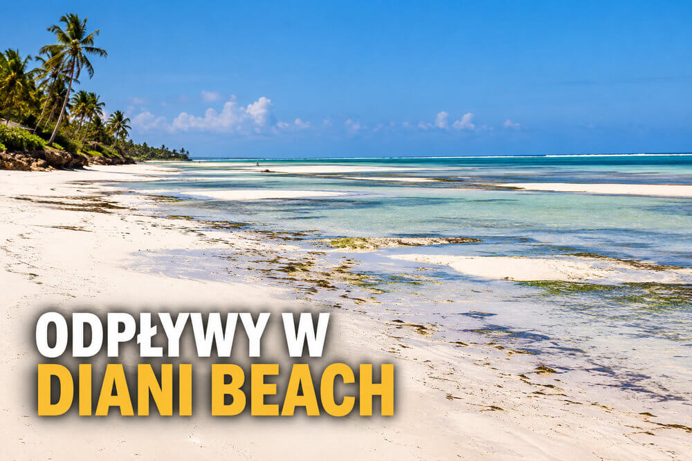 Odpływy w Diani Beach – kiedy można wejść do oceanu?
