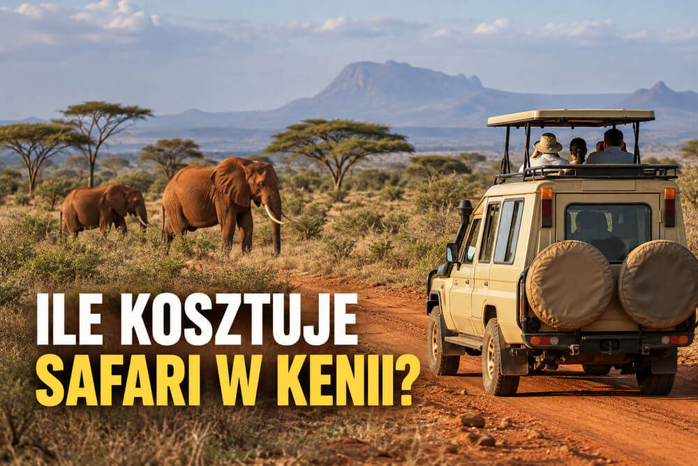 Ile kosztuje safari w Kenii? Od czego zależy cena