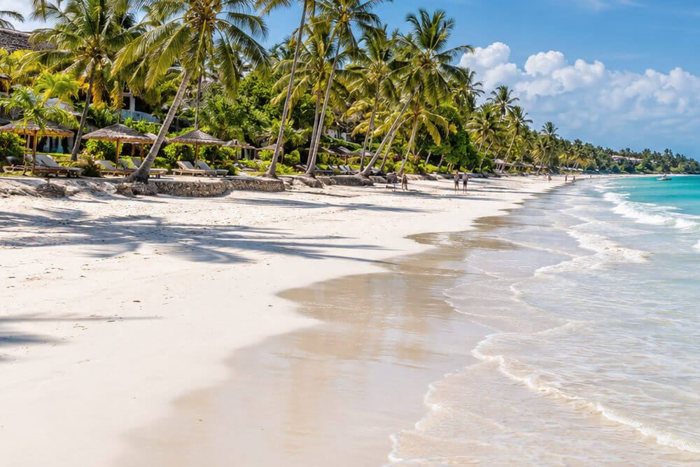 Hotele przy piaszczystej plaży Diani Beach otoczone palmami
