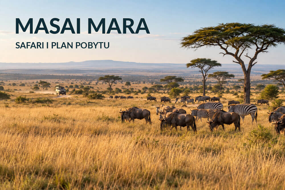 Masai Mara – safari, zwierzęta i planowanie pobytu
