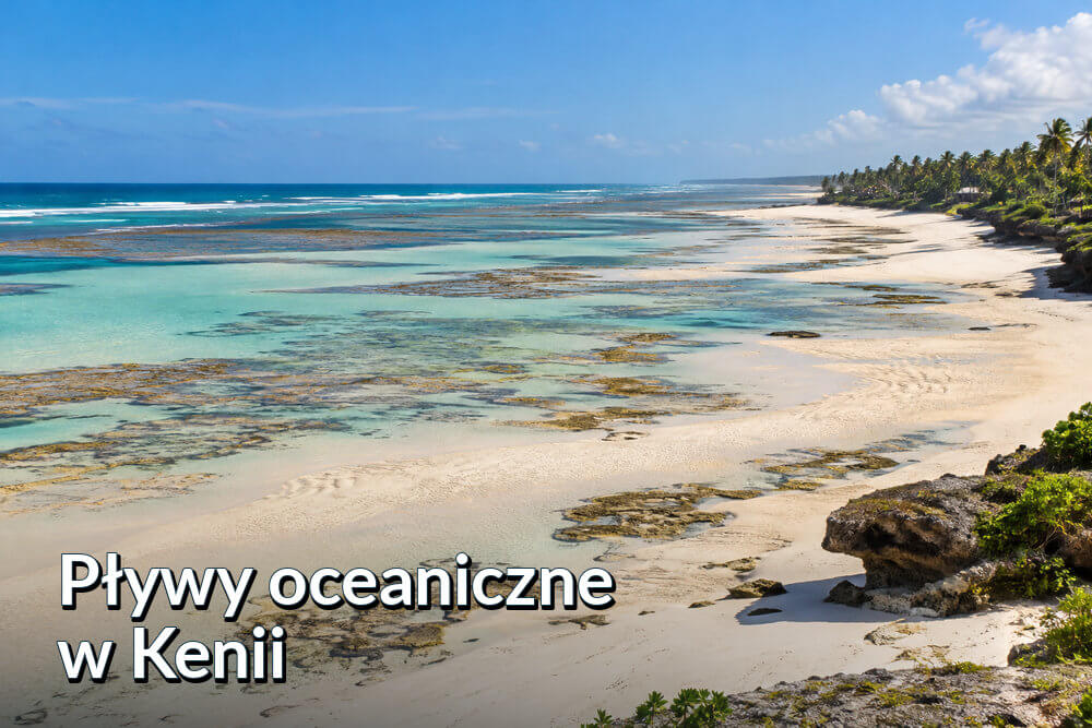 Pływy oceaniczne w Kenii – przypływ, odpływ i tabela godzin