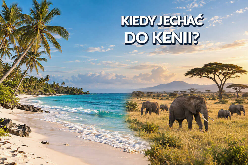 Kiedy jechać do Kenii? Najlepszy termin na plażę i safari