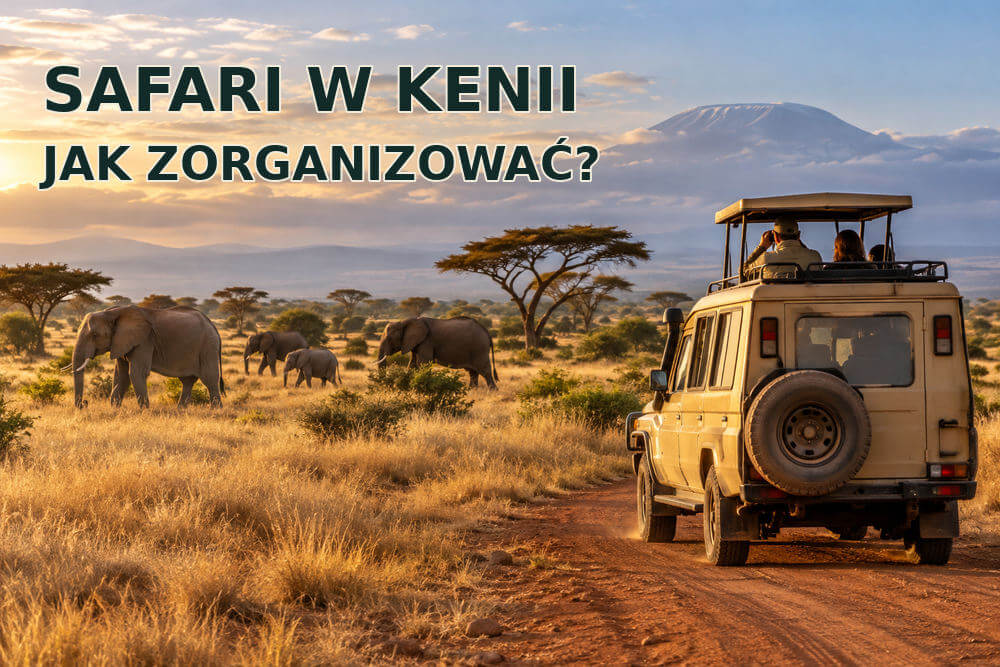 Safari w Kenii – jak wygląda i jak je zorganizować?