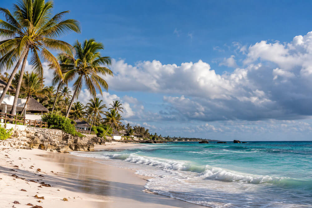 Nadmorskie domki i piaszczysta plaża w cieniu palm