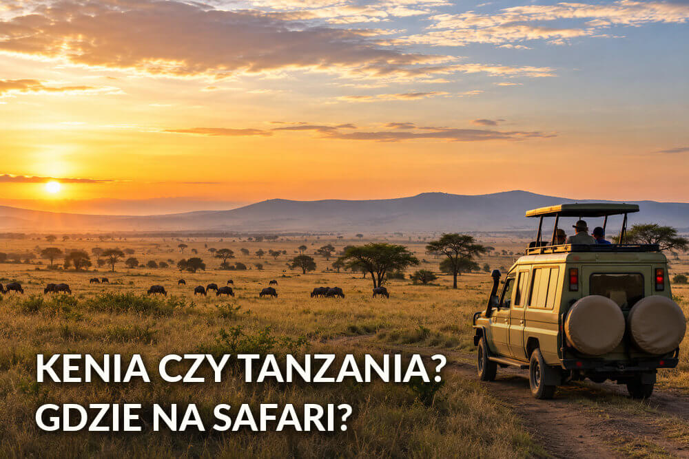 Kenia czy Tanzania – gdzie lepiej pojechać na safari?