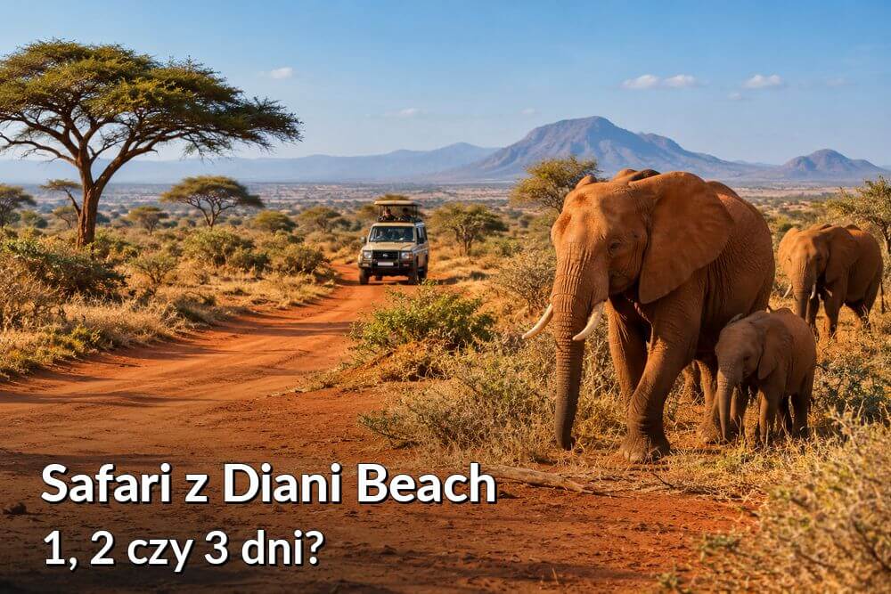 Safari z Diani Beach – dokąd jechać i ile dni zaplanować?